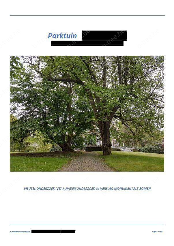Verslag van boomadvies na visuele inspecties en nadere onderzoeken