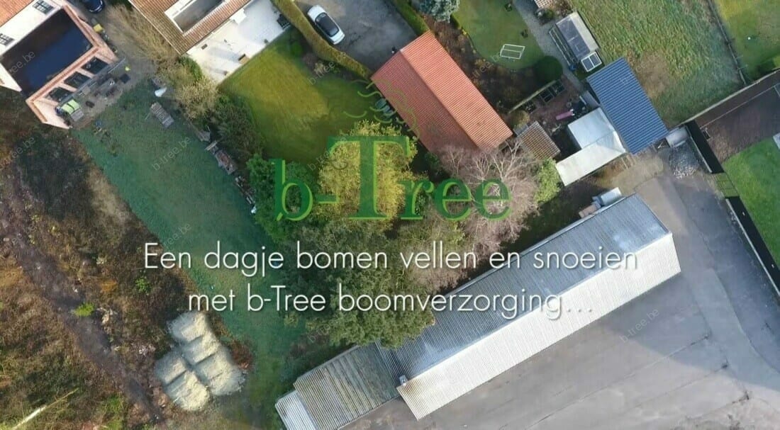 Video over snoeien en vellen van bomen te Hulshout